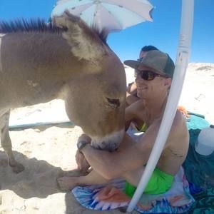 Meet your Posher, Pete